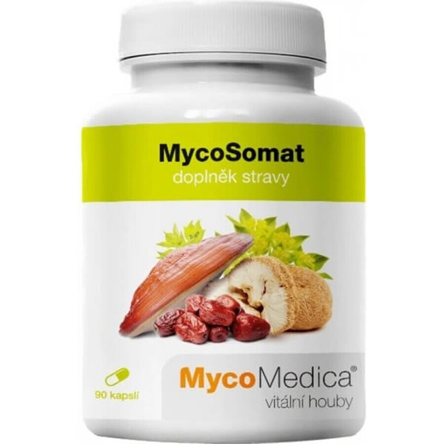 Mycomedica Mycosomat Vegan 500mg 90cps 1×90 cps