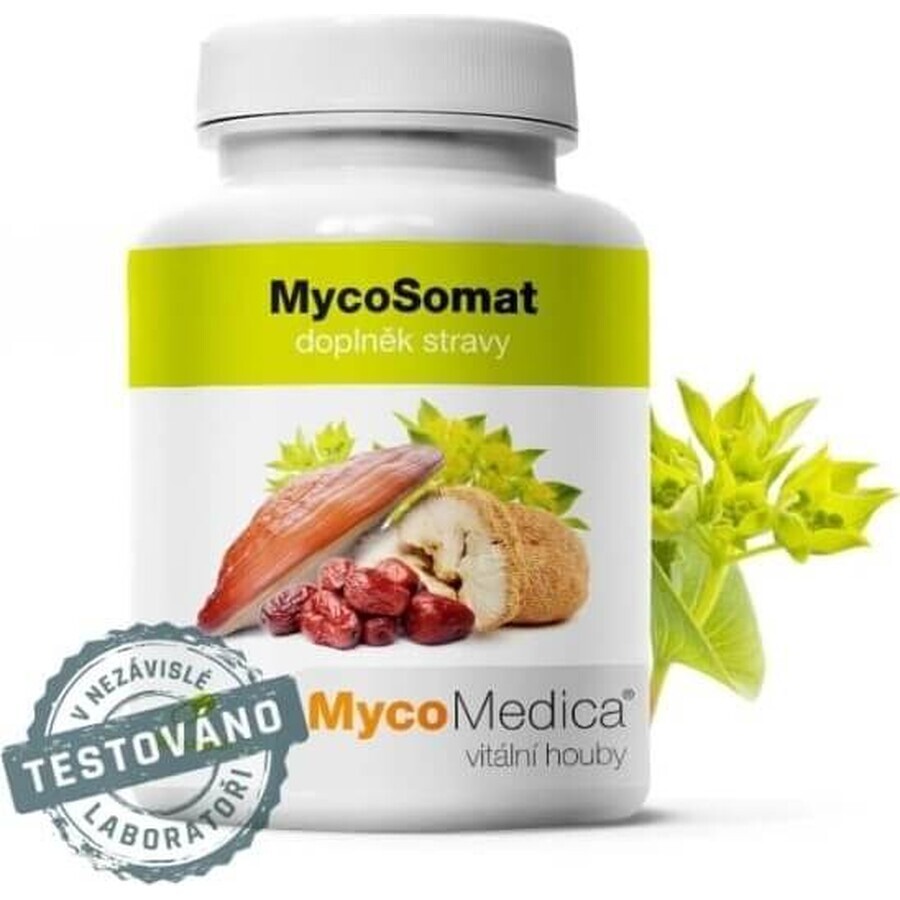 Mycomedica Mycosomat Vegan 500mg 90cps 1×90 cps