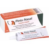 Pinio-Nasal unguent nazal 1×10 g, unguent nazal