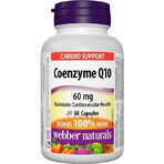 WEBBER NATURALS Coenzym Q10 60 mg 1×60 cps, Nahrungsergänzungsmittel