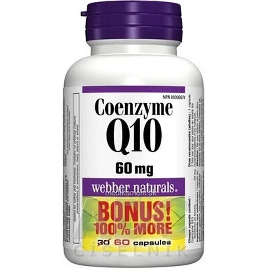 WEBBER NATURALS Coenzym Q10 60 mg 1×60 cps, Nahrungsergänzungsmittel