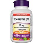 WEBBER NATURALS Coenzym Q10 60 mg 1×60 cps, Nahrungsergänzungsmittel