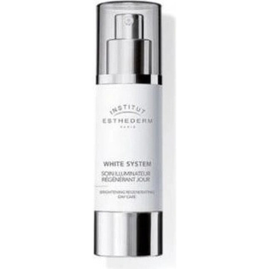 Institut Esthederm Institut Esthederm White Brightening Youth Moisturising Day Care 50 ml 1×50 ml, Tagescreme