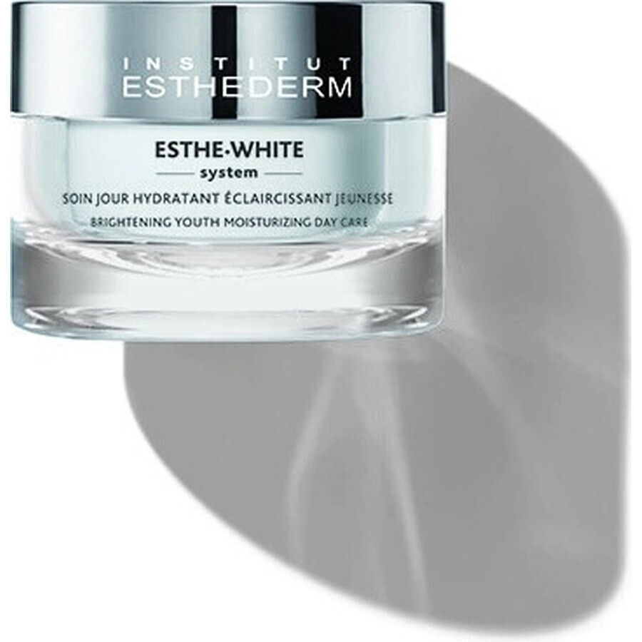 Institut Esthederm Institut Esthederm White Brightening Youth Moisturising Day Care 50 ml 1×50 ml, Tagescreme