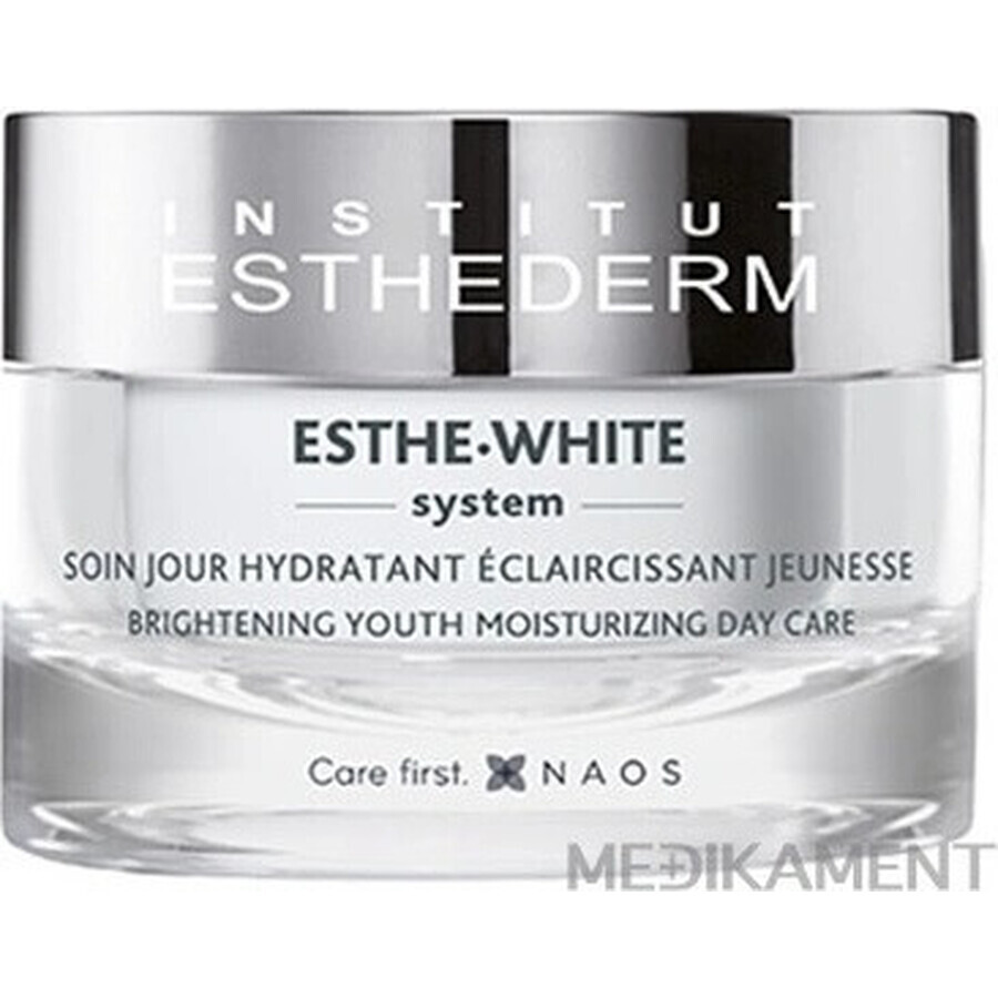 Institut Esthederm Institut Esthederm White Brightening Youth Moisturising Day Care 50 ml 1×50 ml, Tagescreme