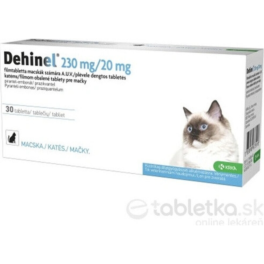 DEHINEL 230 mg/20 mg pentru pisici 1×30 tbl, medicament