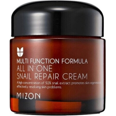 Mizon All In One Schnecken-Reparaturcreme 75 ml 1×75 ml