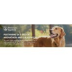 FRONTLINE COMBO spot-on per CANI M 3 x 1,34 ml 3x1,34 ml, soluzione per cani