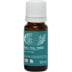 Tierra Verde Tea Tree Organic Essential Oil 30ml 1×1 pc, oil