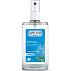 WELEDA Sage deodorant 1×200 ml, deodorant, refill - fără pulverizator