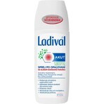 LADIVAL Akut spray 1×150 ml, spray doposole