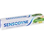 SENSODYNE Herbal Fresh 1×75 ml, pastă de dinți