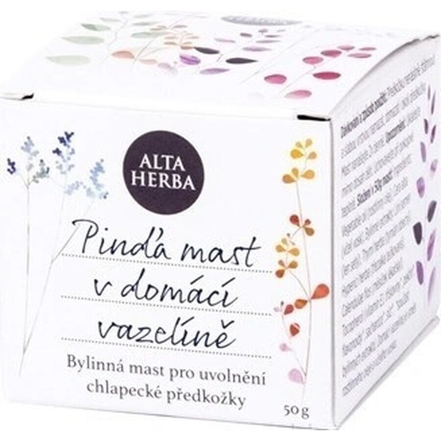 ALTA HERBA Pomada para el acné 1×50 g, pomada