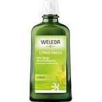 WELEDA Desodorante Citrus 1×200 ml, desodorante, recambio - sin spray