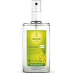 WELEDA Desodorante Citrus 1×200 ml, desodorante, recambio - sin spray