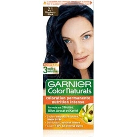 Garnier Color Naturals Colore permanente per capelli 2.10 Blu-Nero 1×1 pezzo, colore per capelli