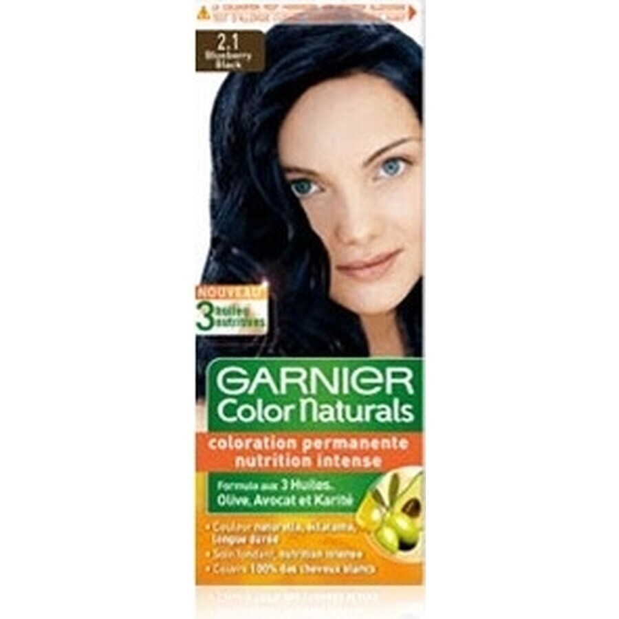 Garnier Color Naturals Colore permanente per capelli 2.10 Blu-Nero 1×1 pezzo, colore per capelli