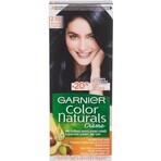 Garnier Color Naturals Colore permanente per capelli 2.10 Blu-Nero 1×1 pezzo, colore per capelli