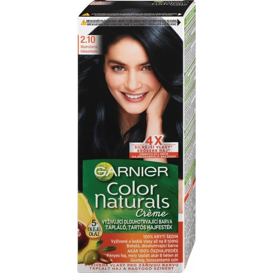 Garnier Color Naturals Colore permanente per capelli 2.10 Blu-Nero 1×1 pezzo, colore per capelli