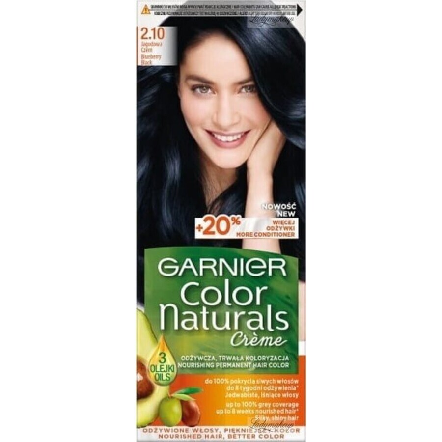 Garnier Color Naturals Colore permanente per capelli 2.10 Blu-Nero 1×1 pezzo, colore per capelli