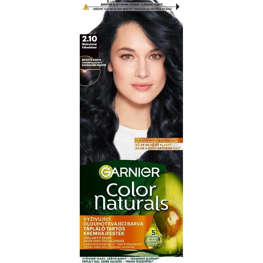 Garnier Color Naturals Colore permanente per capelli 2.10 Blu-Nero 1×1 pezzo, colore per capelli