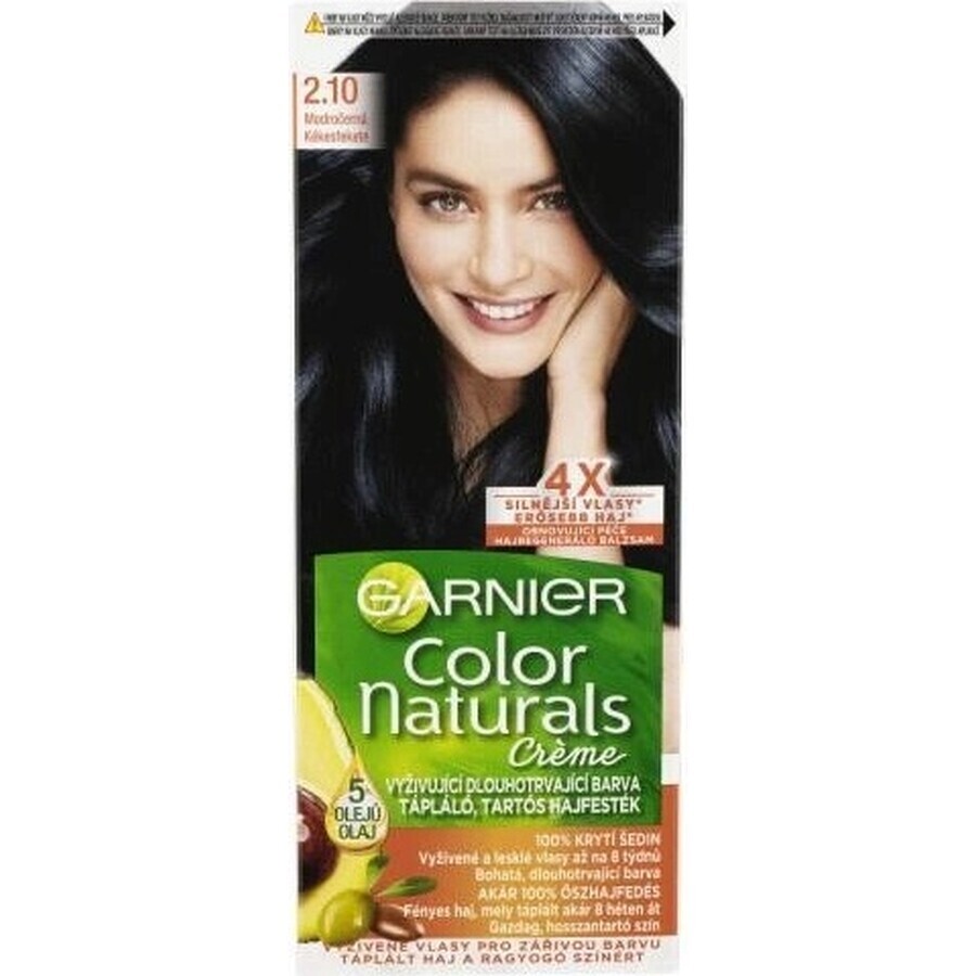 Garnier Color Naturals Colore permanente per capelli 2.10 Blu-Nero 1×1 pezzo, colore per capelli