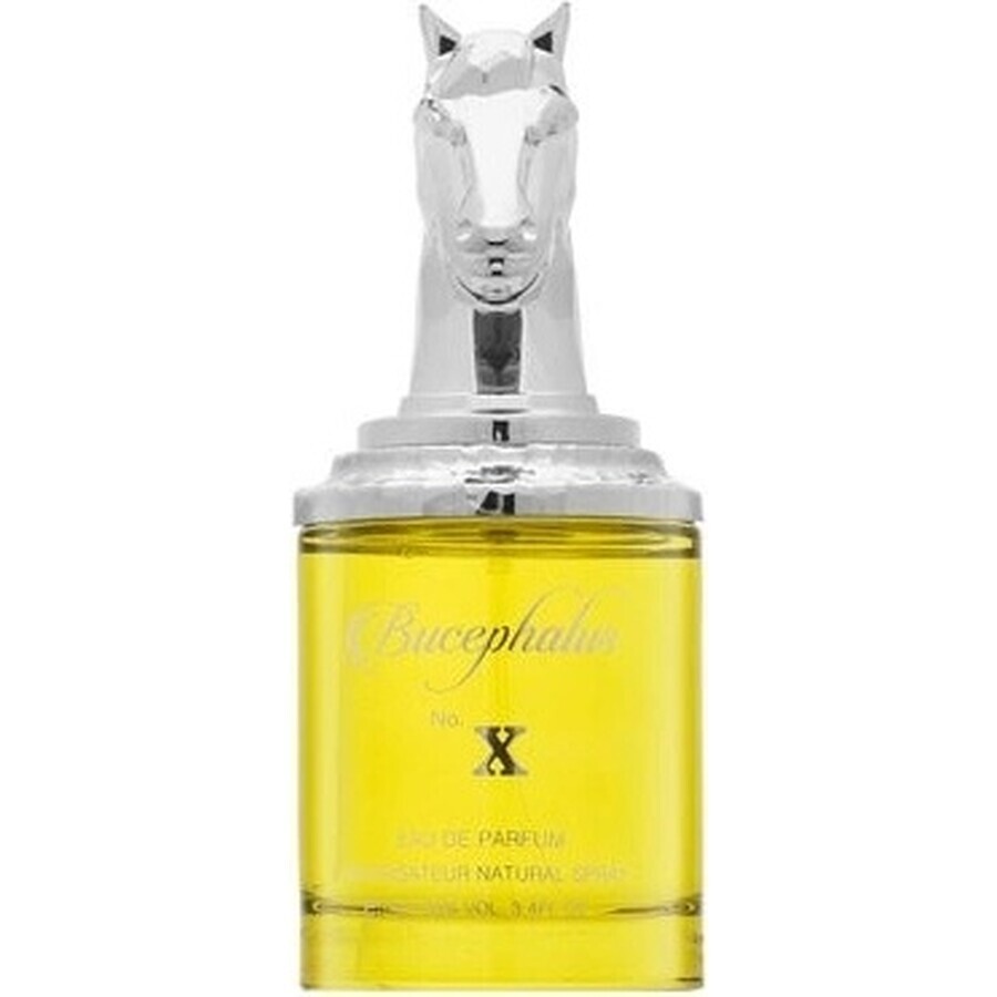 Armaf Bucephalus No.Xedp 100ml 1×1pcs, apă de parfum