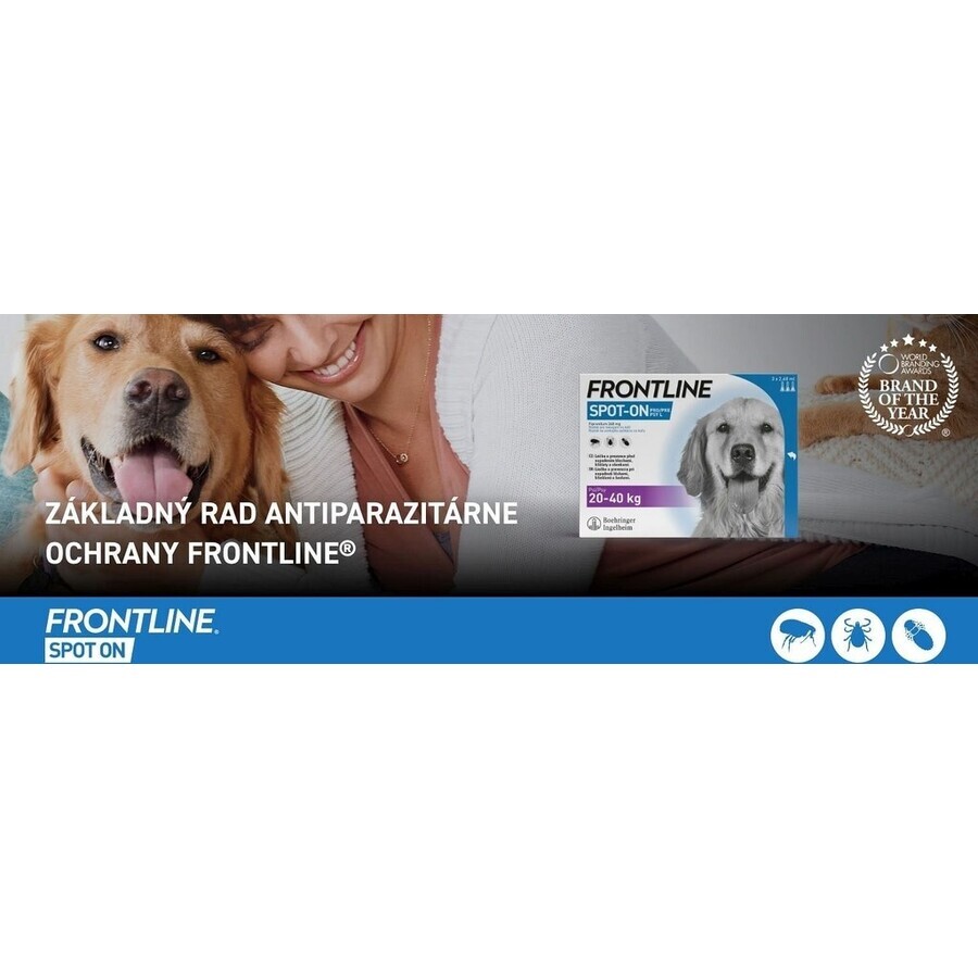 FRONTLINE spot-on für HUNDE L 3 x 2,68 ml 3x2,68 ml