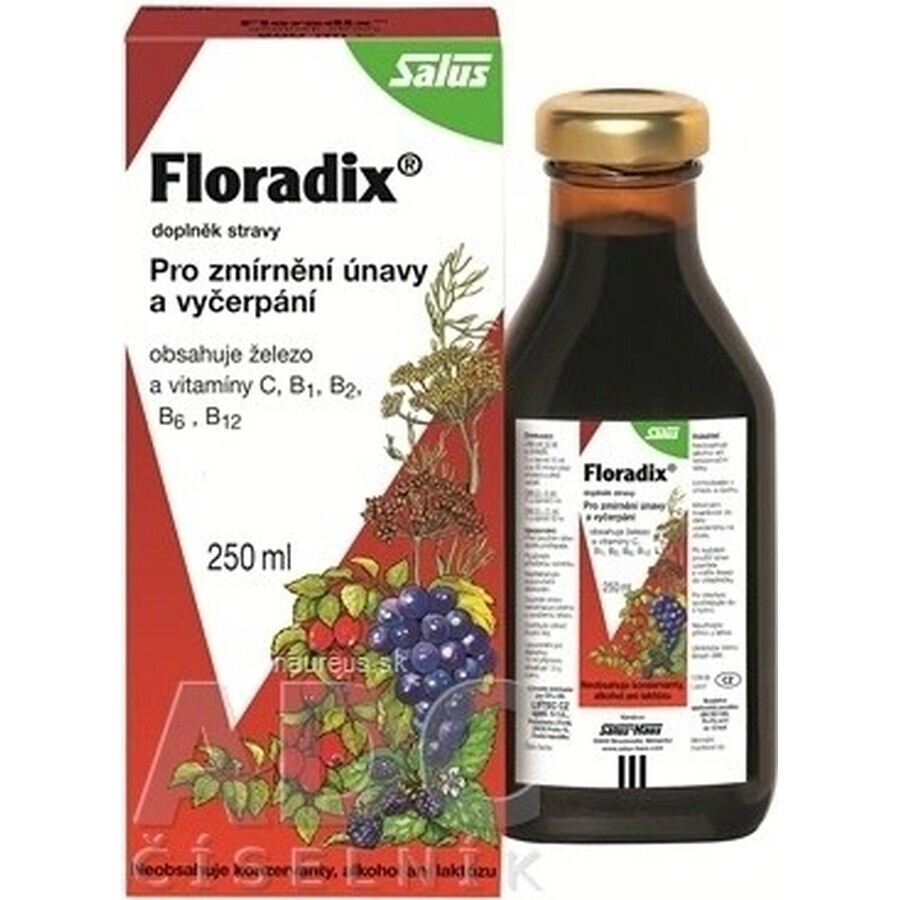 SALUS Floradix Gallexier 1×250 ml, liquid form