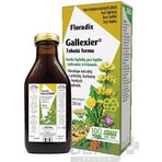 SALUS Floradix Gallexier 1×250 ml, liquid form