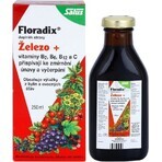 SALUS Floradix Gallexier 1×250 ml, liquid form