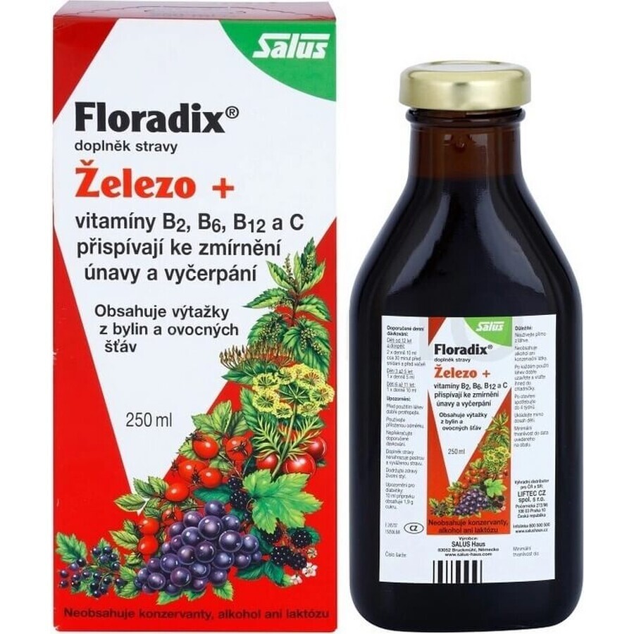 SALUS Floradix Gallexier 1×250 ml, liquid form