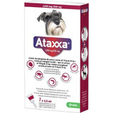 Ataxxa 1250 mg/250 mg (cani da 10 kg a 25 kg) 1×2,5 ml, soluzione per cani