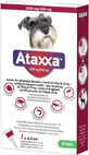 Ataxxa 1250 mg/250 mg (c&#226;ini de la 10 kg la 25 kg) 1&#215;2,5 ml, soluție pentru c&#226;ini