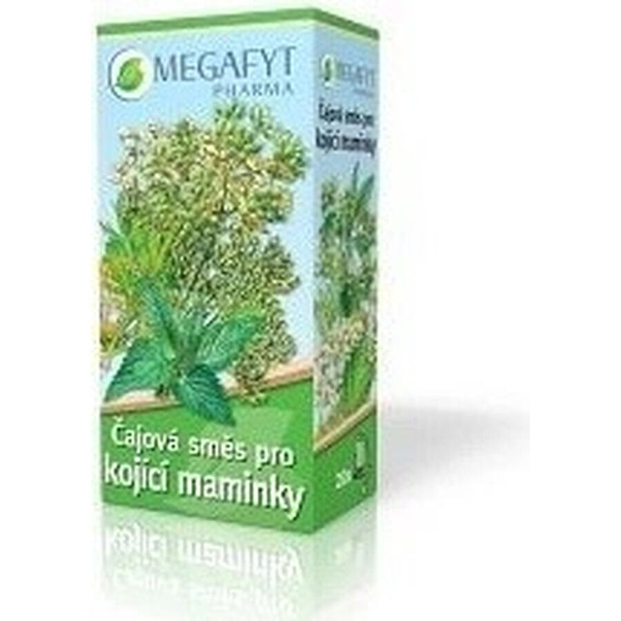 MEGAFYT Ceai din plante pentru alăptare. 1×30 g (20×1,5 g), ceai cu păducel