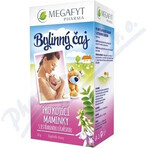 MEGAFYT Ceai din plante pentru alăptare. 1×30 g (20×1,5 g), ceai cu păducel