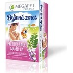 MEGAFYT Ceai din plante pentru alăptare. 1×30 g (20×1,5 g), ceai cu păducel