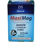 ZDROVIT MAXI MAG HORCIK+B6 FORTE 1×50 cps, complemento alimenticio