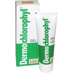 Dr. Müller DERMO CHLOROPHYL GEL 1×50 ml, gel pentru piele