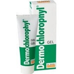 Dr. Müller DERMO CHLOROPHYL GEL 1×50 ml, gel pentru piele