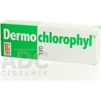 Dr. Müller DERMO CHLOROPHYL GEL 1×50 ml, gel pentru piele