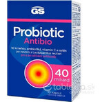 GS Probiotic Antibiotic 1×10 cps, complément alimentaire