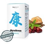 Mycomedica Mycostress 350mg 180cps 1×180 cps