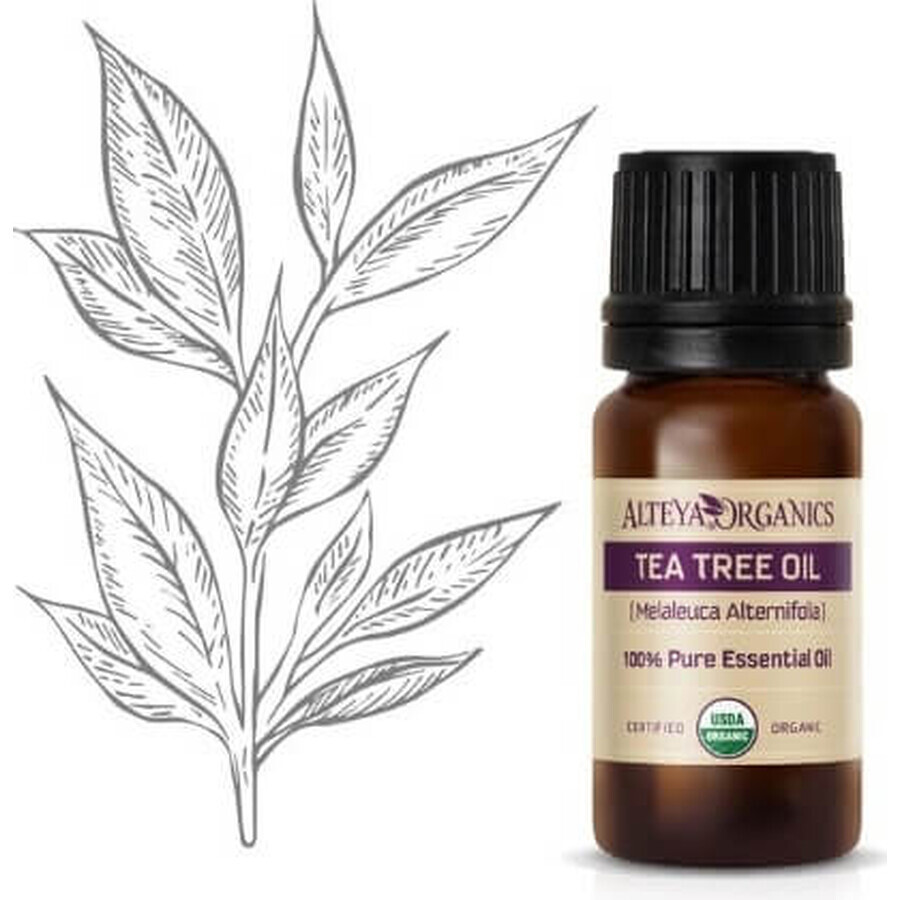 Alteya Organics Tea tree olie 1×10 ml, etherische olie