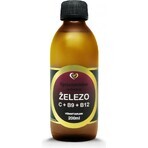 Healthy World Liposomaal natuurlijk ijzer 1×200 ml, voedingssupplement