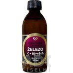 Healthy World Liposomaal natuurlijk ijzer 1×200 ml, voedingssupplement