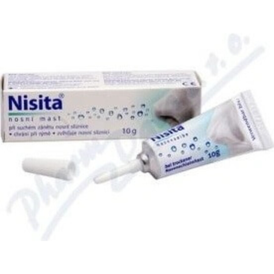 Nisita pomada nasal 1×10 g, pomada nasal