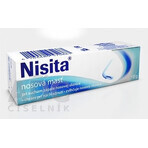 Nisita pomada nasal 1×10 g, pomada nasal