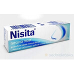 Nisita pomada nasal 1×10 g, pomada nasal