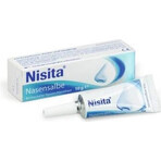 Nisita pomada nasal 1×10 g, pomada nasal